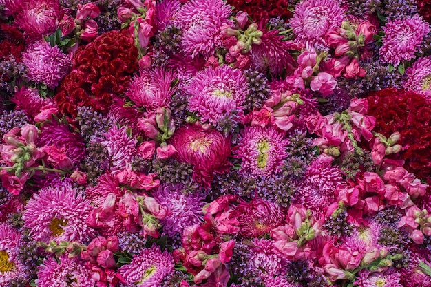 Beautiful pink flowers background. Top view