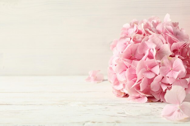 写真 白い背景の美しいピンクの花