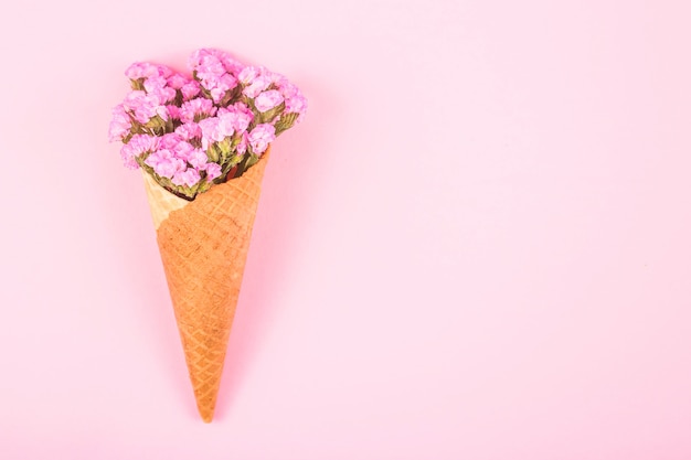 Beautiful pink flowers in a waffle cone for ice cream on a bright pink background.