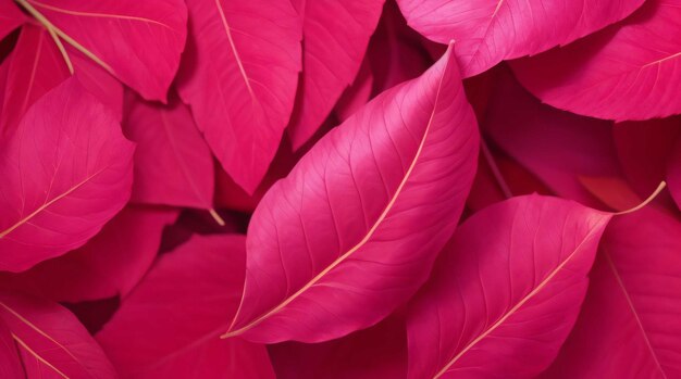 Photo beautiful pink leaves desktop wallpaper