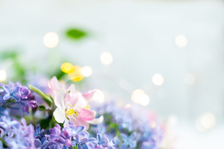 Beautiful pink and lilac flowers on blurred light background with lights. Spring floral background with space for text.
