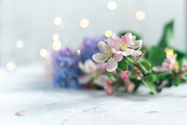 Bellissimi fiori rosa e lilla