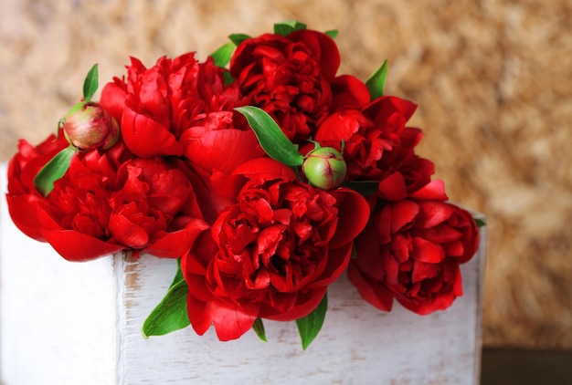 Beautiful pink peonies on brown wall background