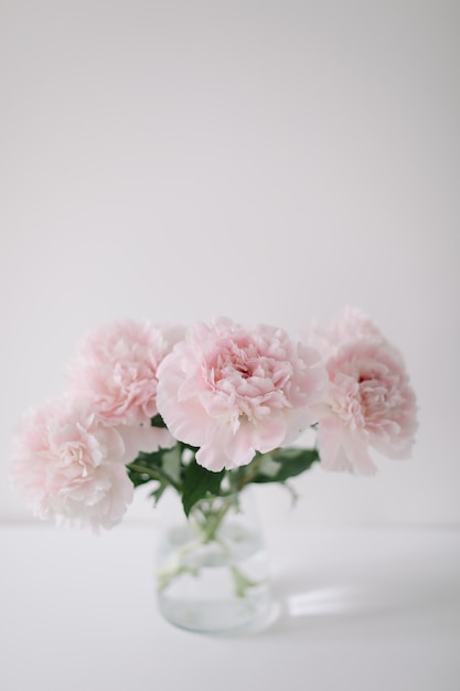 Beautiful pink peonies in a glass vase on white background