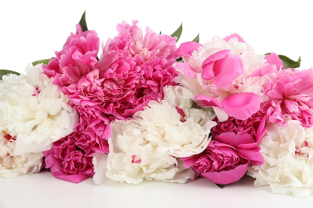 Beautiful pink peonies, isolated on white