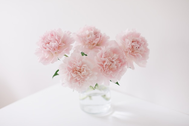 Beautiful pink peonies