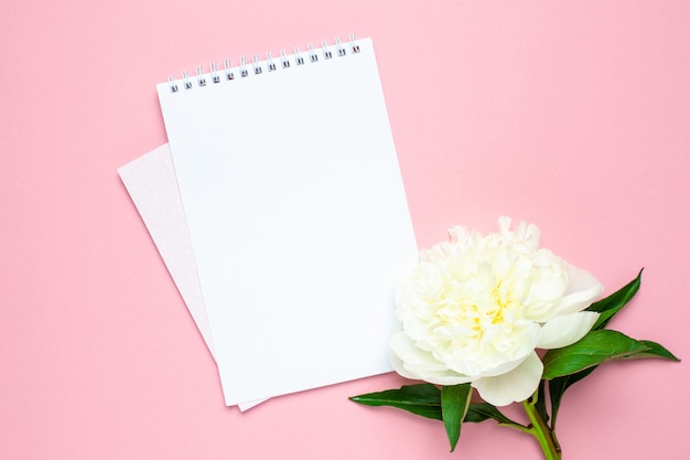 Beautiful pink peony flower and notebook with copy space for your text on pastel pink  