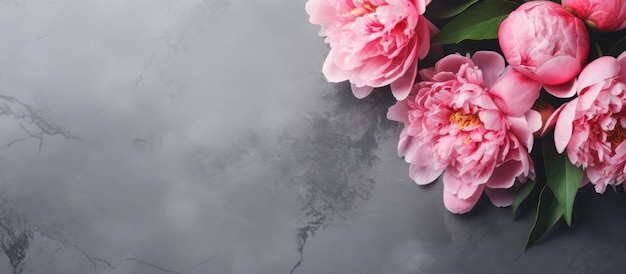 美しいピンクの牡丹の花が、追加するための十分なスペースのあるグレーの石のテーブルに置かれています。