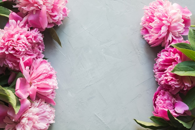 Beautiful pink peony flowers as frame on grey concrete. Copy space for text. Flat lay.