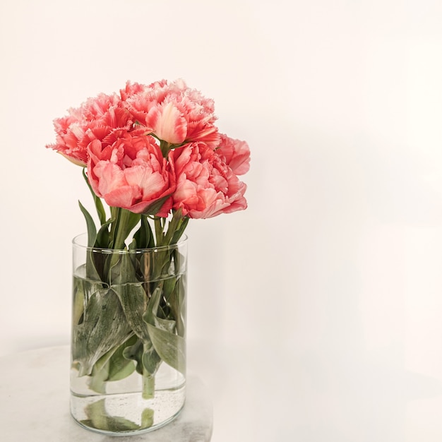 Beautiful pink peony flowers bouquet in glass vase on marble table on white. Beauty floral composition