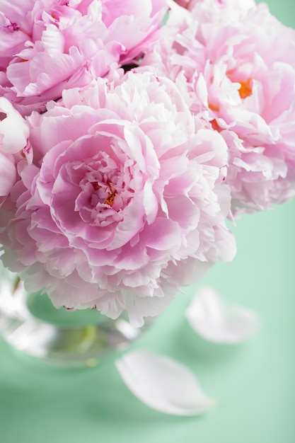 Beautiful pink peony flowers bouquet in vase