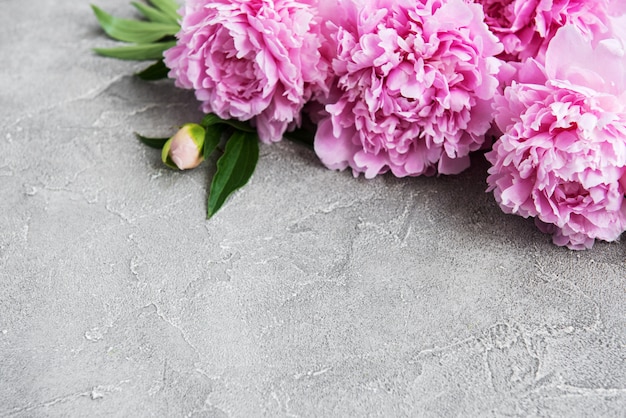 Beautiful pink  peony flowers