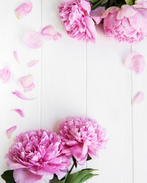 Beautiful pink  peony flowers