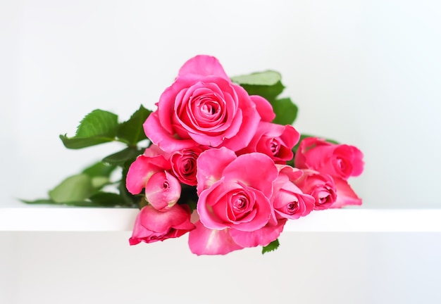 beautiful pink rose flowers 