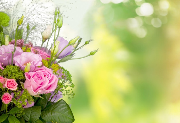 Beautiful pink roses on background