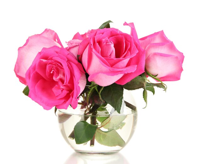 Beautiful pink roses in vase isolated on white