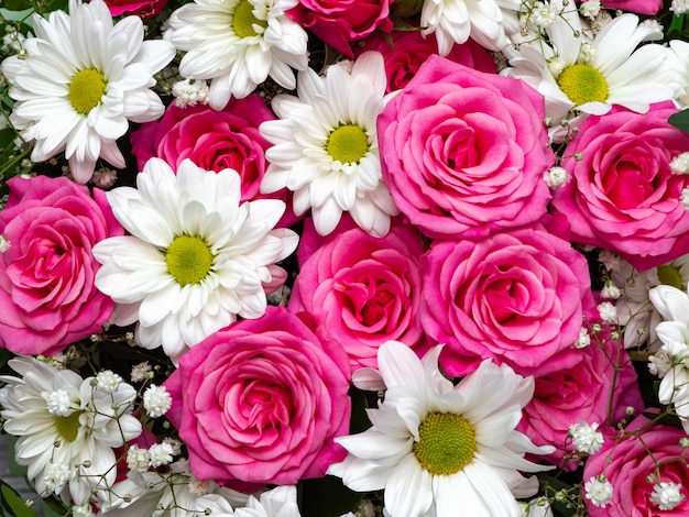 Beautiful pink roses and white daisies close-up, floral background.