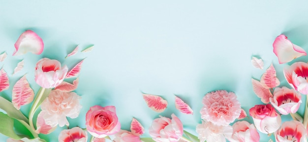 beautiful pink spring flowers on blue background