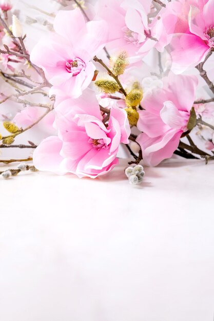Beautiful pink spring flowers composition over white. Magnolia flowers, cherry blooming branches and willow.