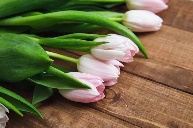 Bei fiori rosa del tulipano sulla tavola di legno