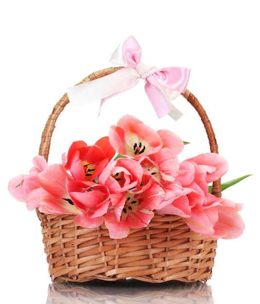 Beautiful pink tulips in basket isolated on white