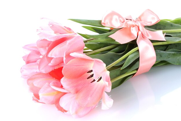 Beautiful pink tulips isolated on white