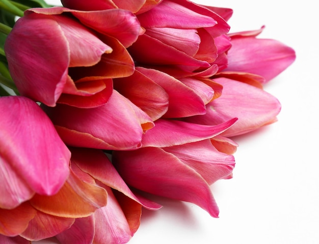 Beautiful pink tulips, isolated on white