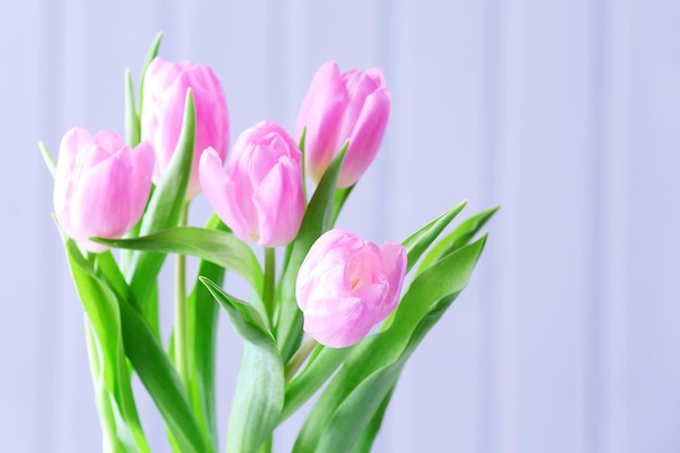 Beautiful pink tulips on wooden background