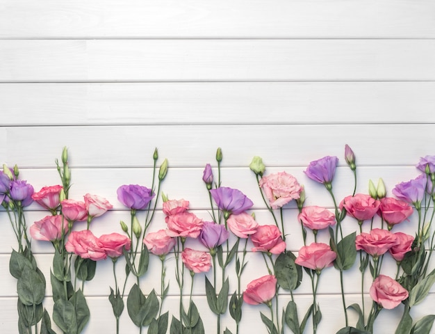 Beautiful pink an violet purple eustoma flowers on white wooden background. Copy space, top view,