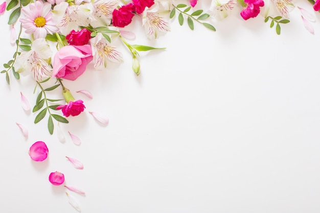 Beautiful pink and white flowers on white background