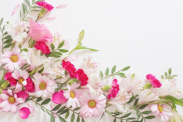 Beautiful pink and white flowers on white background