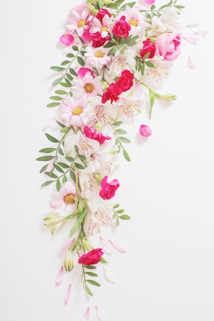 Beautiful pink and white flowers on white background