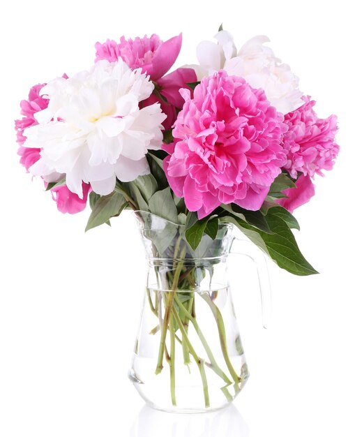 흰색에 고립 된 꽃병에 아름 다운 분홍색과 흰색 모란