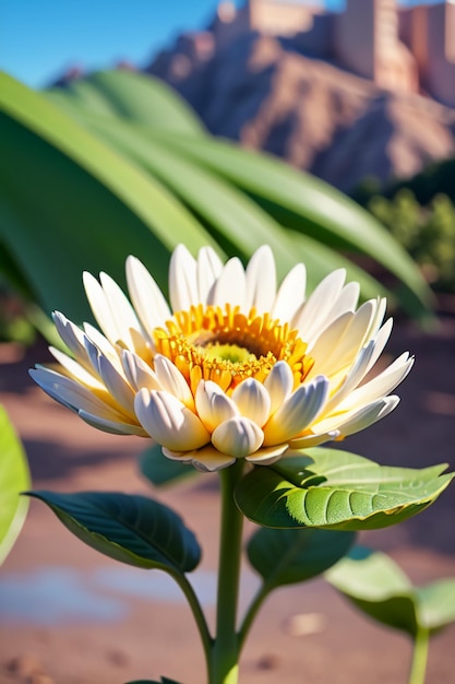 美しい植物 黄色い野生のクリスアンテム 花は日<unk>のように 美しい壁紙の背景