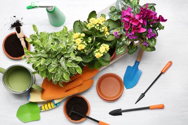 写真 テーブルの上の美しい植物と庭師の機器