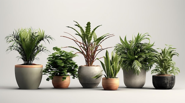 Photo beautiful plants in ceramic pots isolated on transparent background 3d rendering generative ai