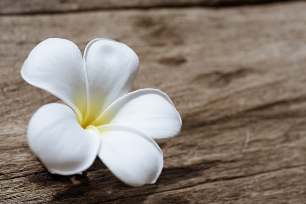 Beautiful plumeria or temple,spa flower on rustic wood table