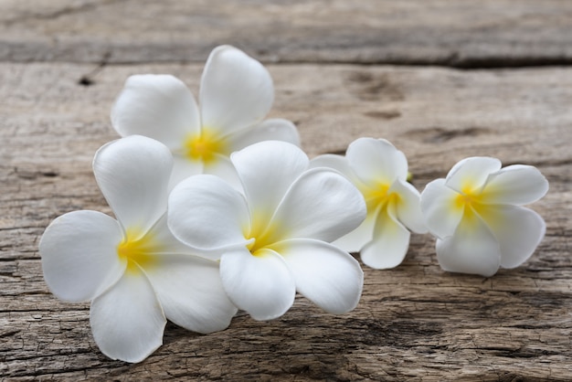 Beautiful plumeria or temple,spa flower on rustic wood table