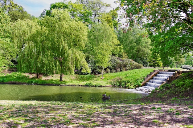 영국 켄트의 리즈 성(Leeds Castle of Kent)에 있는 아름다운 연못.