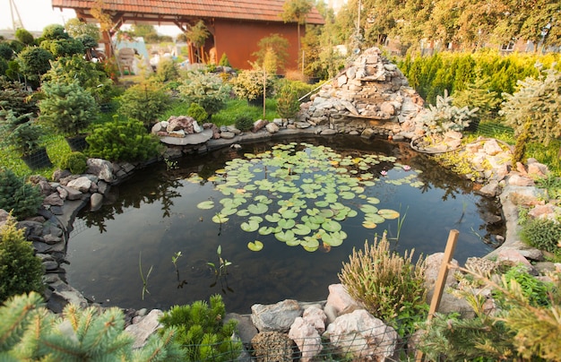 Beautiful pond with waterlily, landscaping and rockery garden