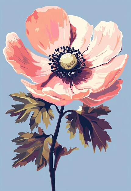 Beautiful poppy flower illustration in different colors