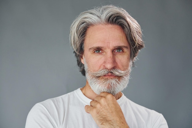 Beautiful portrait Stylish modern senior man with gray hair and beard is indoors