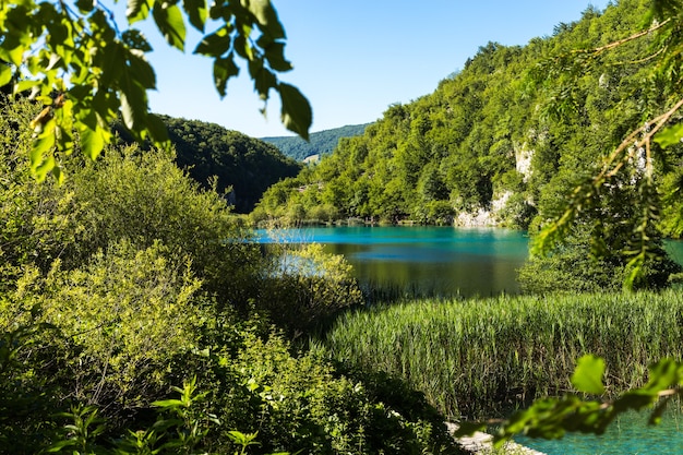 Beautiful postcard with view lakes plitvice national park of croatia