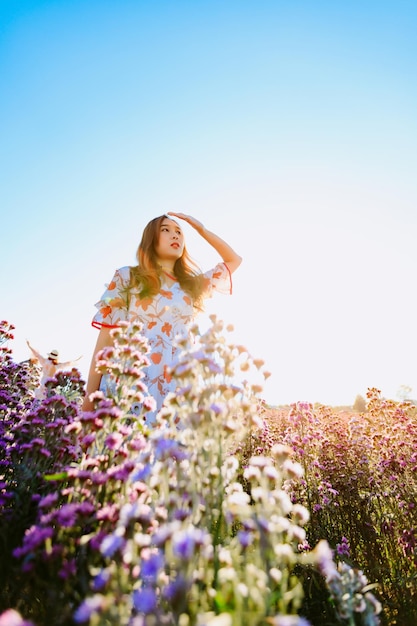 マーガレット・アスターの花の畑で 美しい美しい女性が 太陽の光を覆うために手を上げます