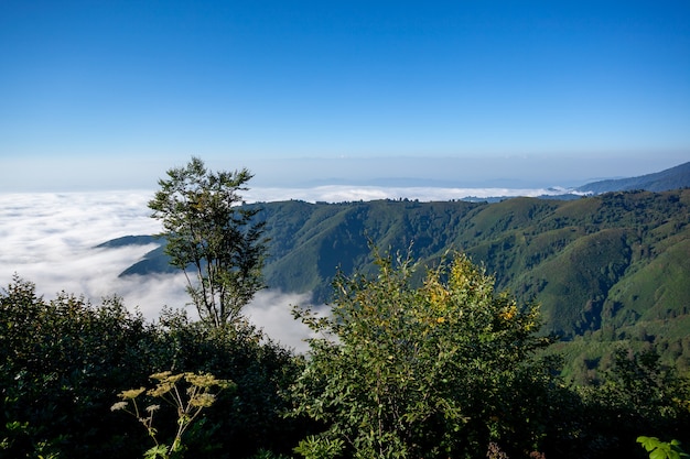 Beautiful Protected area of Kintrishi and Resort Gomismta. Amazing nature in mountain Georgia. Travel.