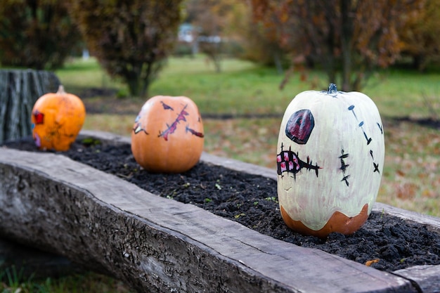 ハロウィーンのための美しいカボチャ