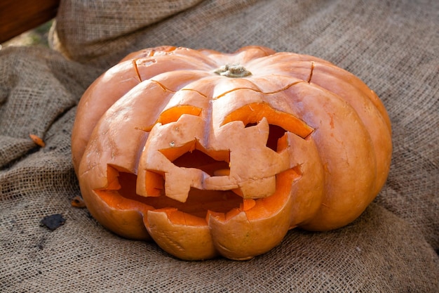 Beautiful pumpkins for halloween