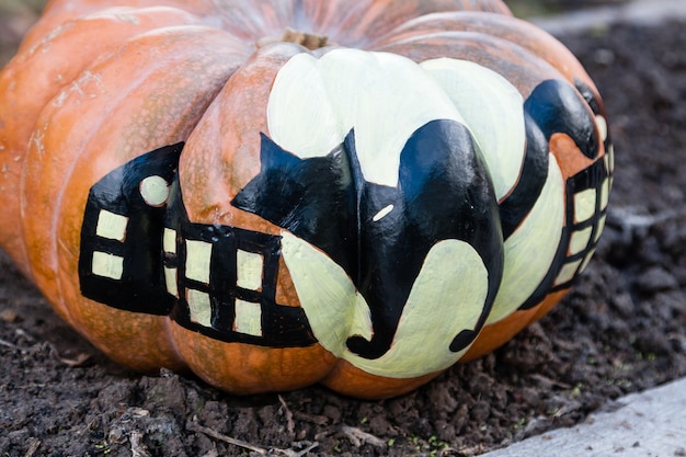 Beautiful pumpkins for halloween