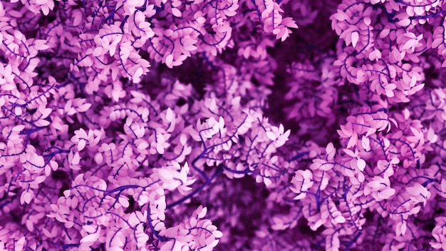 Beautiful purple background with leaves. 3d rendering.