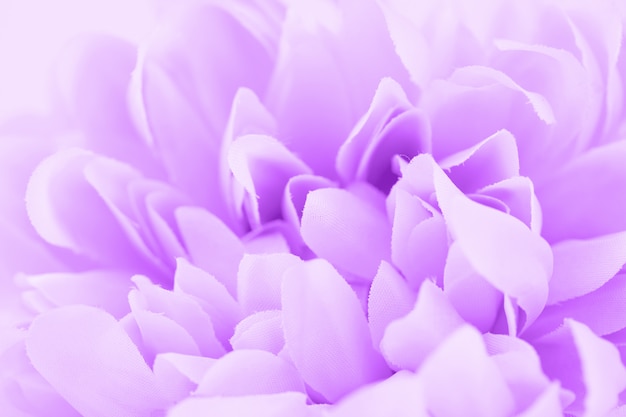 Beautiful purple flower made with color filters, soft color and blur style for background